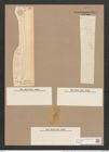 Pleurosigma angulatum var. elongatum (W.Sm.) V.H. (de-Toni-Nr.: Genus 13, Species 1001) Zeichnungen Sammlung Grunow Nr. 2007 (NHMW-BOT-W0368855)